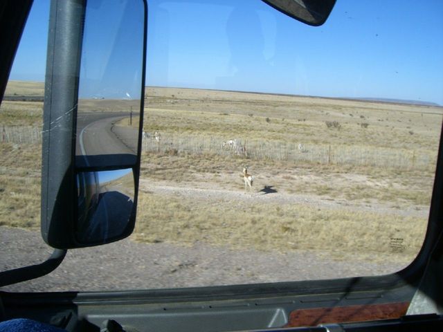 i3136 Fotosik - Widoki z trasy