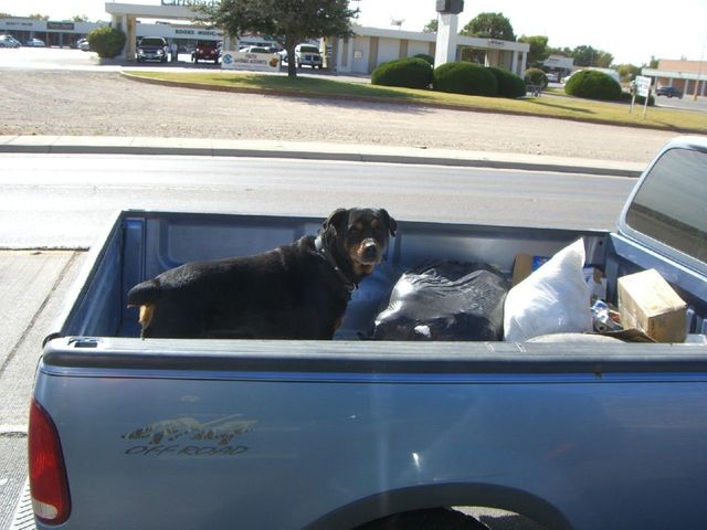 i3121 Fotosik - Widoki z trasy