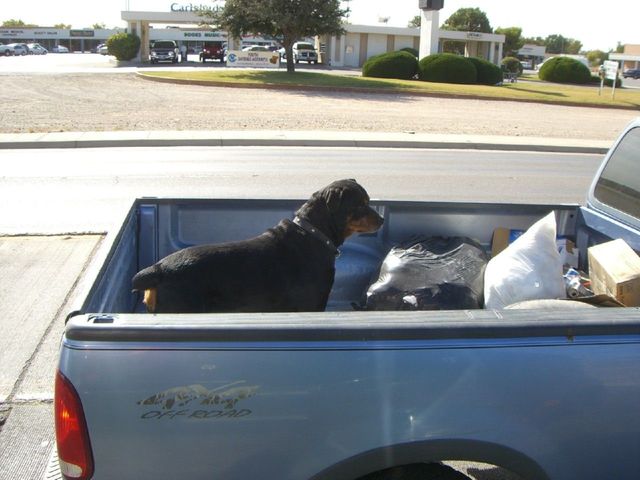 i3120 Fotosik - Widoki z trasy