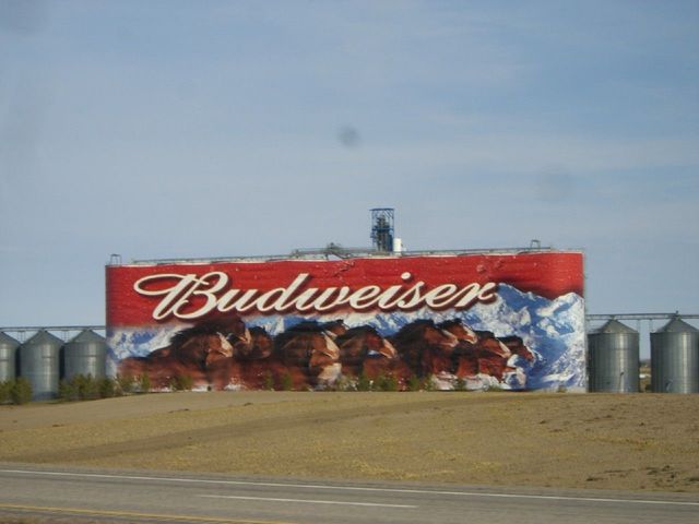 i2995 Fotosik - Widoki z trasy