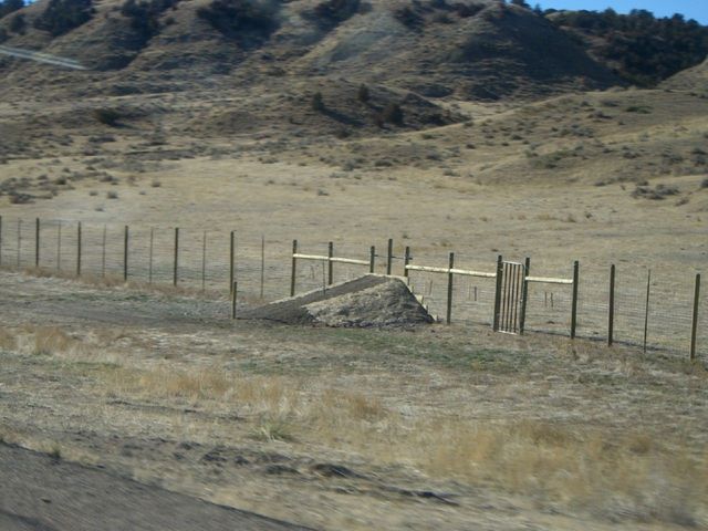 i2977 Fotosik - Widoki z trasy