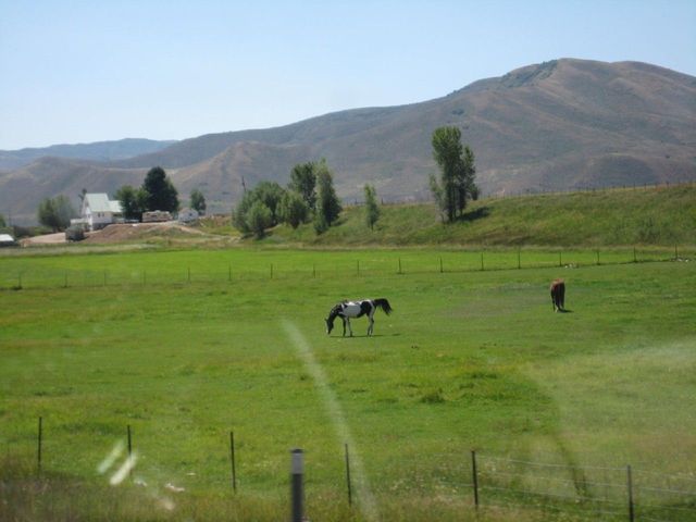 i2864 Fotosik - Widoki z trasy