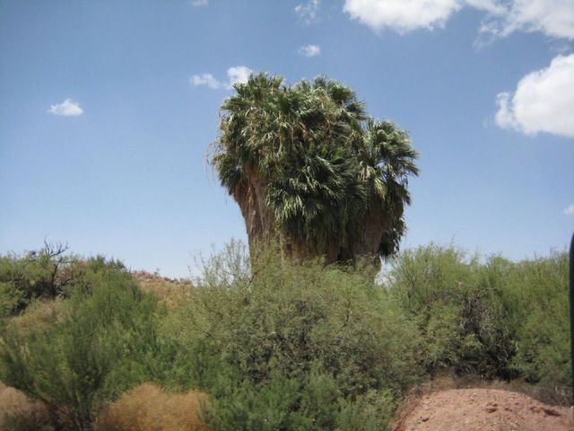 i2792 Fotosik - Widoki z trasy