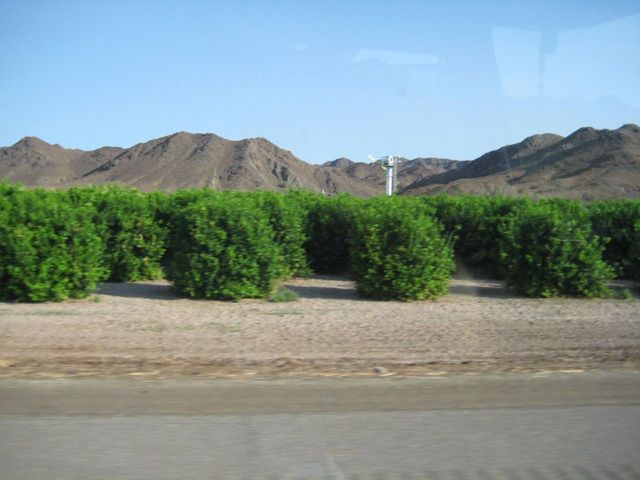 i2762 Fotosik - Widoki z trasy