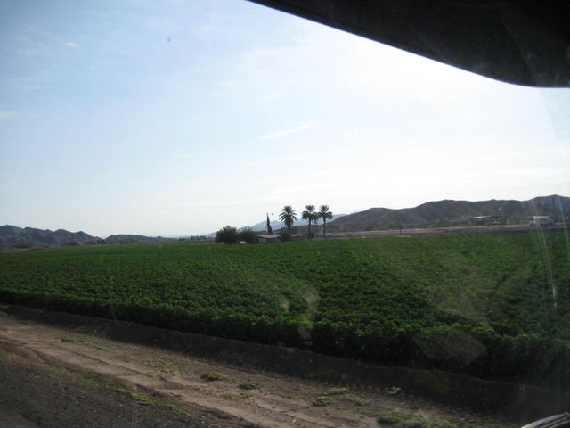 i2761 Fotosik - Widoki z trasy