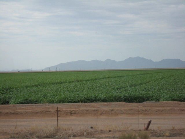 i2732 Fotosik - Widoki z trasy