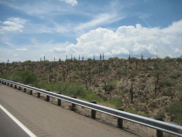 i2695 Fotosik - Widoki z trasy