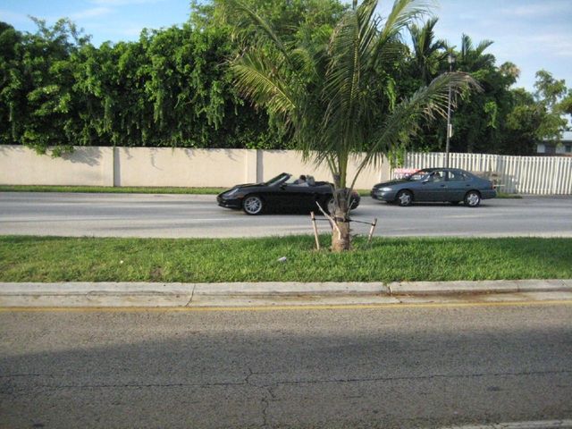 i2538 Fotosik - Widoki z trasy