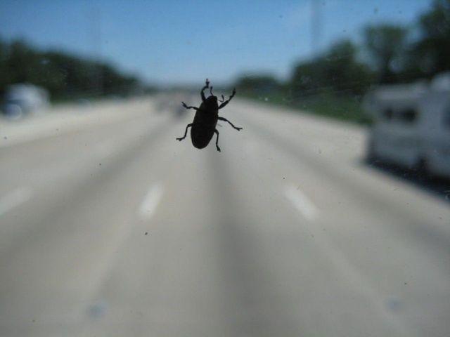 i2474 Fotosik - Widoki z trasy