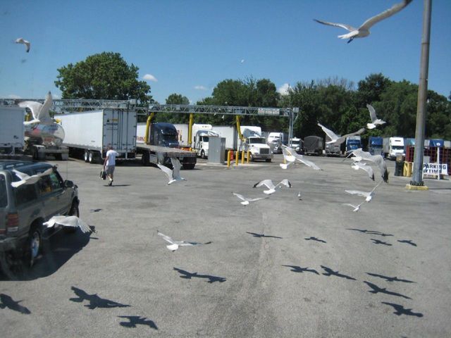 i2470 Fotosik - Widoki z trasy