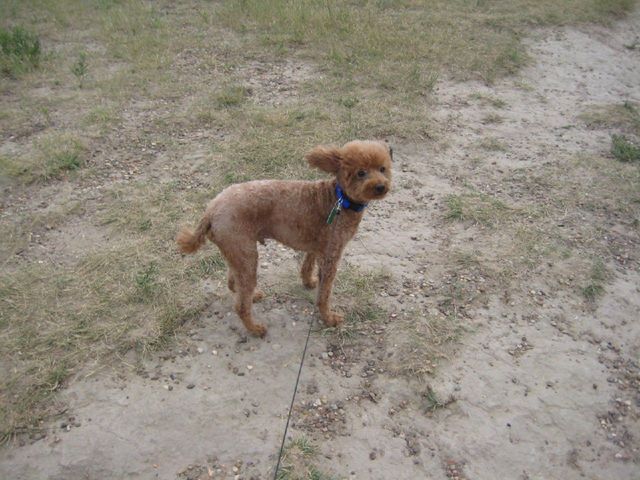 i2441 Fotosik - Widoki z trasy