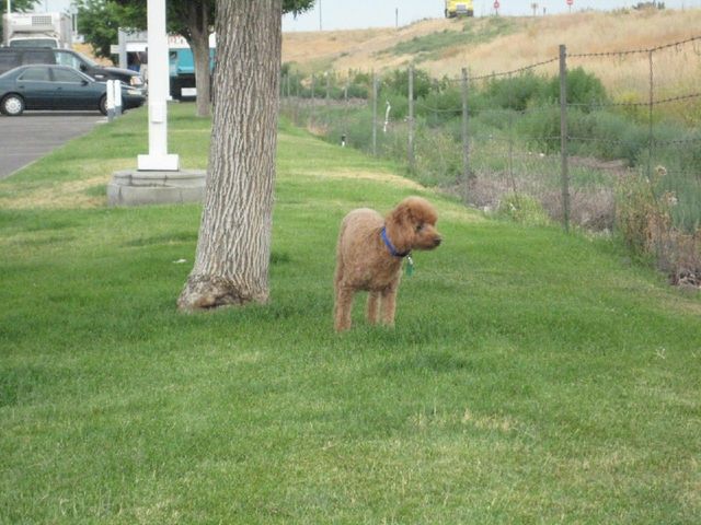 i2404 Fotosik - Widoki z trasy