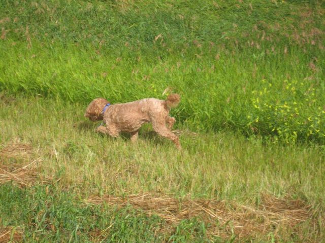 i2354 Fotosik - Widoki z trasy
