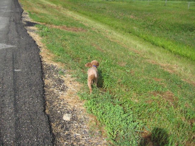 i2353 Fotosik - Widoki z trasy