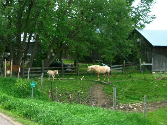 i2127 Fotosik - Widoki z trasy