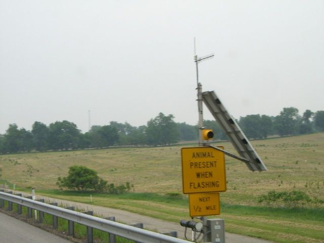 i2068 Fotosik - Widoki z trasy