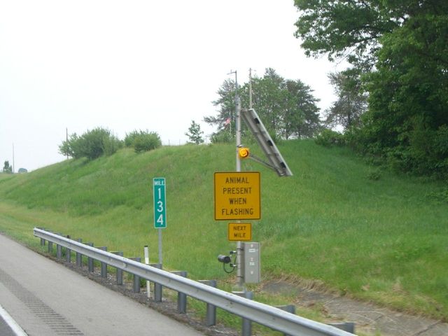 i2067 Fotosik - Widoki z trasy