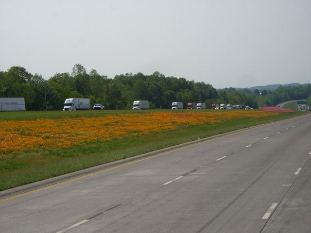 i1830 Fotosik - Widoki z trasy