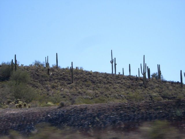 i1648 Fotosik - Widoki z trasy