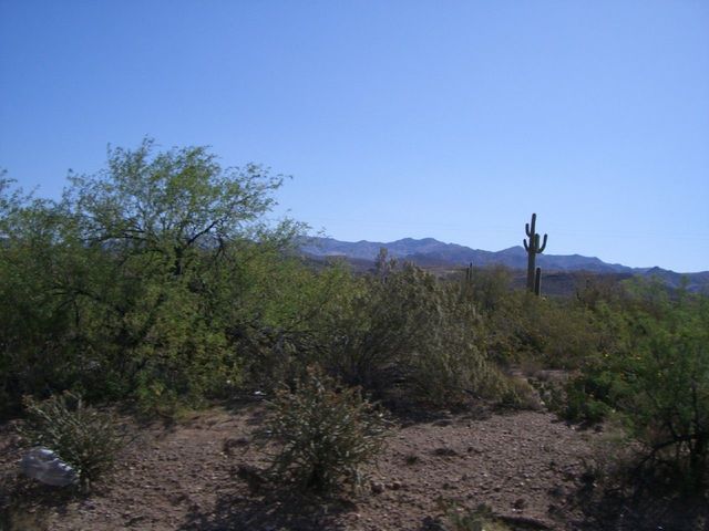 i1646 Fotosik - Widoki z trasy