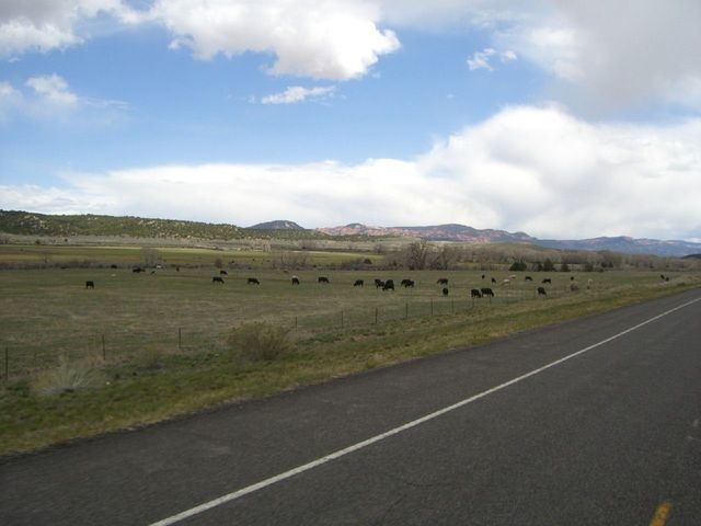 i1613 Fotosik - Widoki z trasy