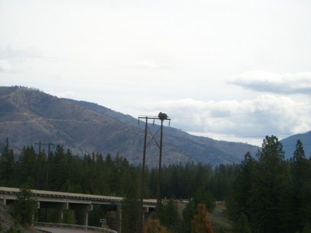 i1549 Fotosik - Widoki z trasy