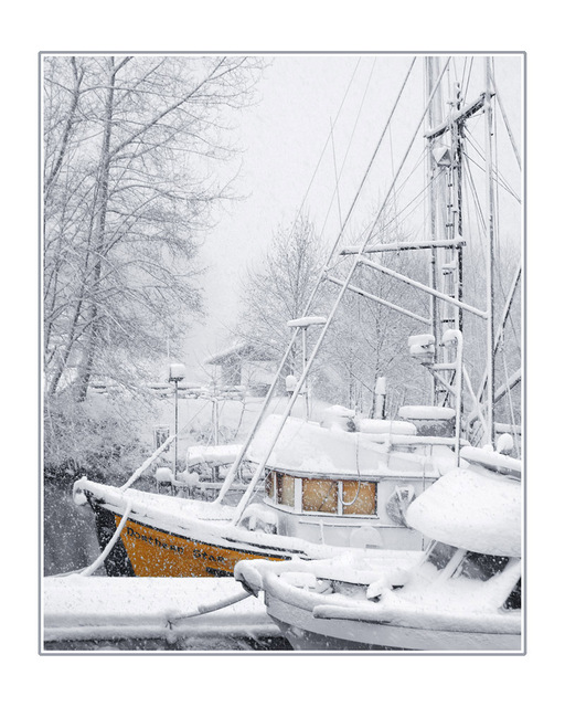 northern star in snow Comox Valley