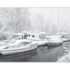 snow and boats - Comox Valley