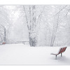 snowy seats - Comox Valley