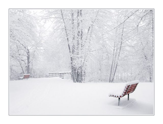 snowy seats Comox Valley