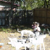 DSC03097 - Jacksonville Potluck