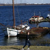 DSC00069 - Brielse Maasloop 7 maart 2010