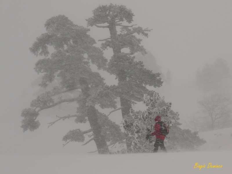 Concorso Inverno Meteolive - 