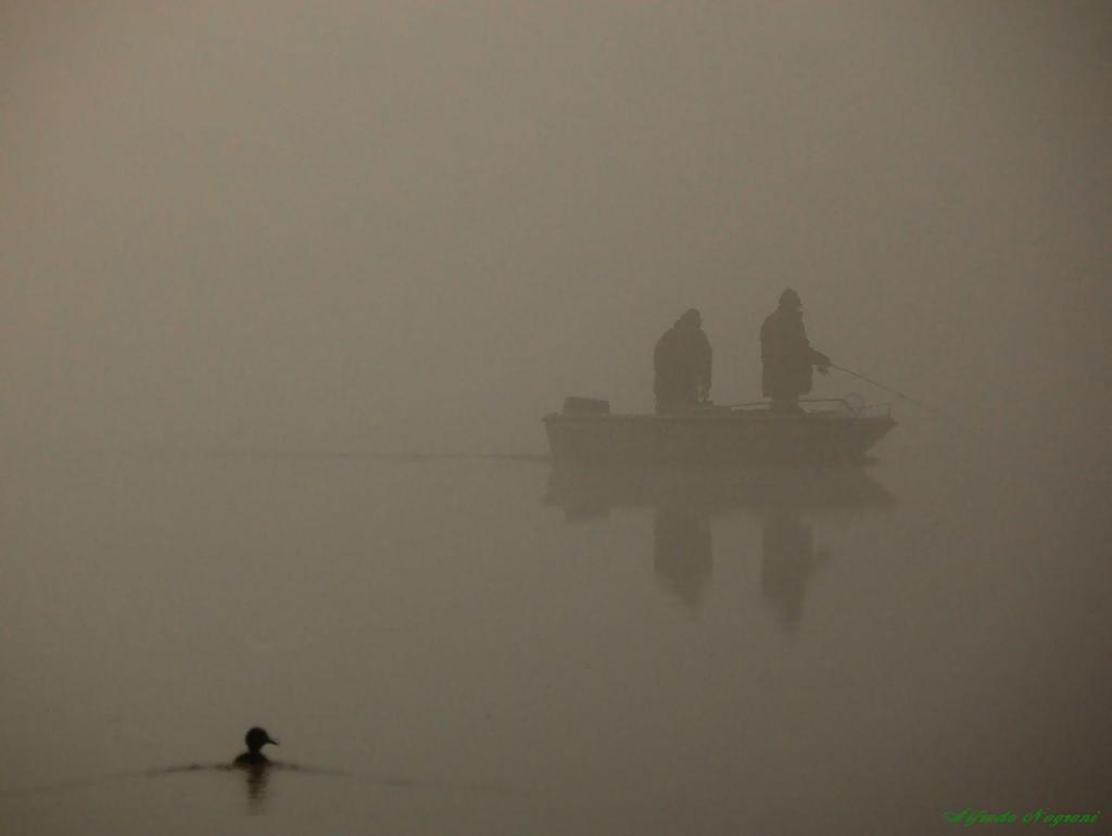 papera e pescatori nella nebbia - 
