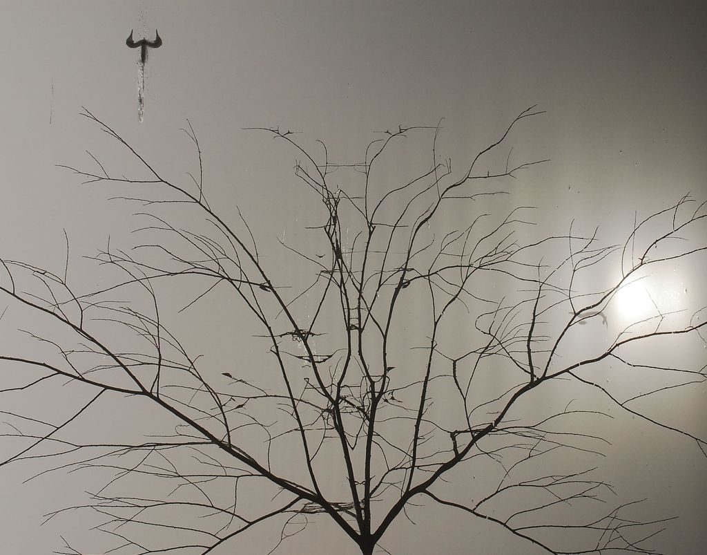 Copia di la papera volante - 