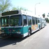 foto0530 - Fotosik - Autobusy