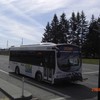 foto0527 - Fotosik - Autobusy