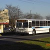 foto0524 - Fotosik - Autobusy