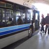 foto0352 - Fotosik - Autobusy
