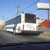 foto0282 - Fotosik - Autobusy