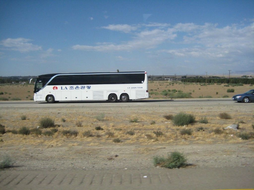foto0230 - Fotosik - Autobusy