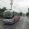 foto0160 - Fotosik - Autobusy