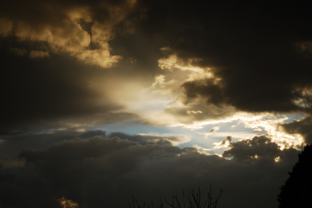 28-03-2010-00019 bis - 