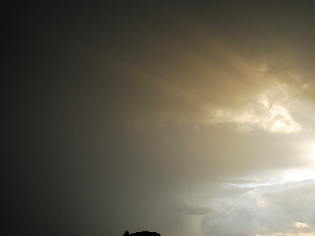 28-03-2010 0023 bis - 