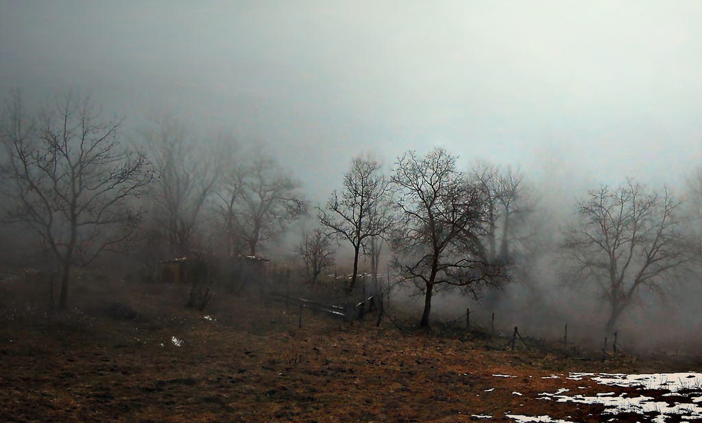 Copia di finale nebbia - 