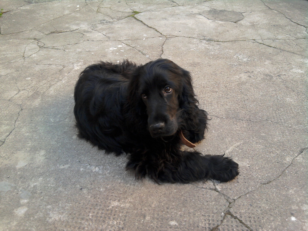 2010-04-02 16.39.25 - 