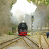 T02036 997234 Eisfelder Tal... - 20100331 Eisfelder TalmÃ¼hle