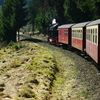 T02056 997234 Sorge - 20100402 Harz