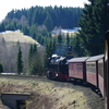 T02057 997234 Sorge - 20100402 Harz