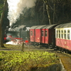 T02042 997234 Steinerne Renne - 20100401 Harz